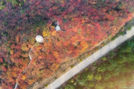 南阳免费景点有哪些